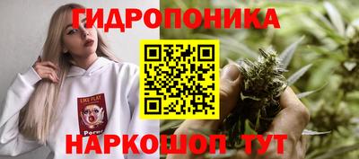 бошки Гуково