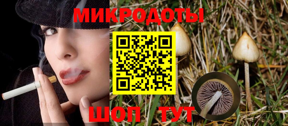 Галлюциногенные грибы Magic Shrooms Кашира
