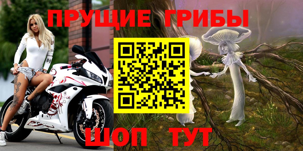 Кашира  Псилоцибиновые грибы Psilocybine cubensis  Вход с VPN  Псилоцибиновые грибы мицелий 